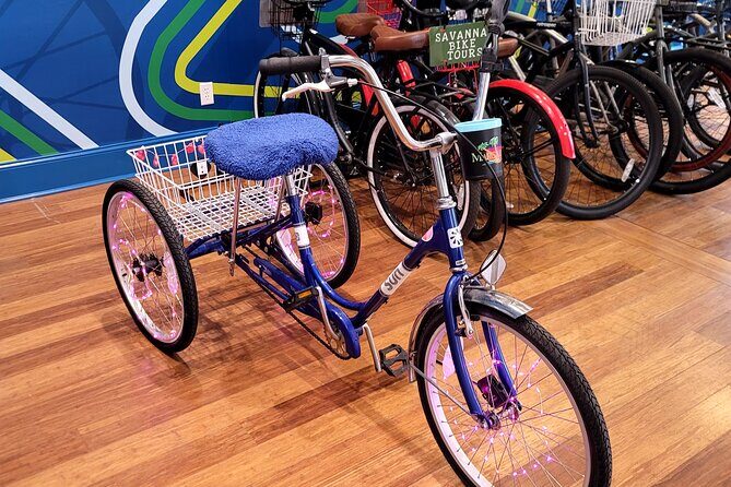 2-Hour Explore Savannah Bike Tour - Andrew Low House Museum: Girl Scouts founding and a museum reality check