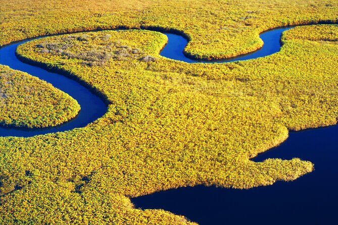 2 Hours Dolphin Eco Tour - A 2-Hour Lowcountry Reset on the Savannah River