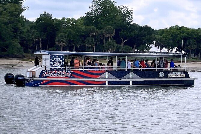 2 Hours Dolphin Eco Tour - Dolphins Up Close: What It Feels Like When They Show