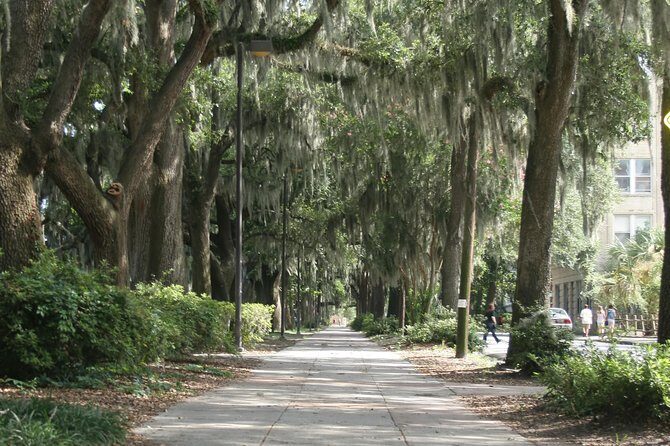 A Walk Through The Book "Midnight in the Garden of Good and Evil" - Practical Stuff: Shoes, Water, and Weather