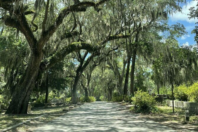 Bonaventure Cemetery History Tour - Why Bonaventure Cemetery tells a better Savannah story than you expect