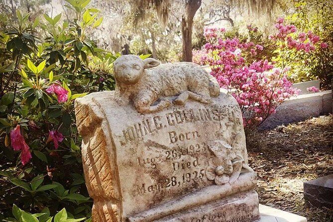 Bonaventure Cemetery Scenic History Art Symbols and Film Tour - Meeting Up and Timing: Morning or Afternoon, and How to Plan Your Arrival