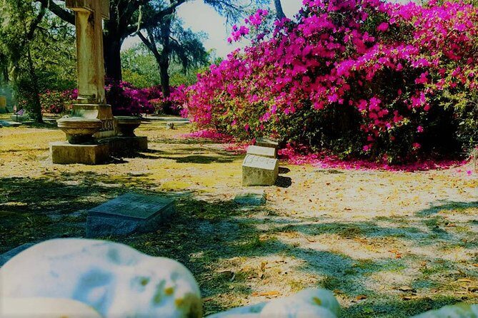 Bonaventure Cemetery Scenic History Art Symbols and Film Tour - Weather, Fitness, and What to Bring for a Comfortable Walk