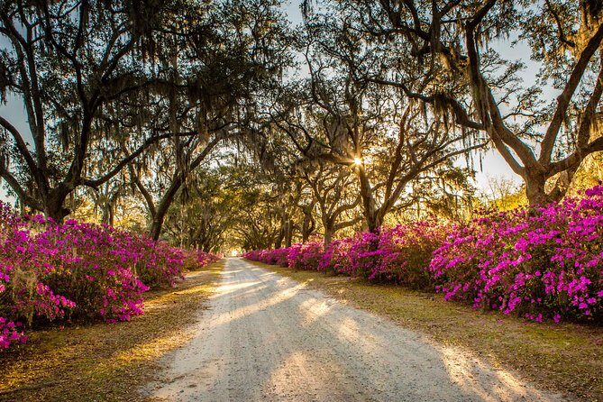 Bonaventure Cemetery & Wormsloe State Historic Site Tour - Price and Value: Is $59.06 a Good Deal?
