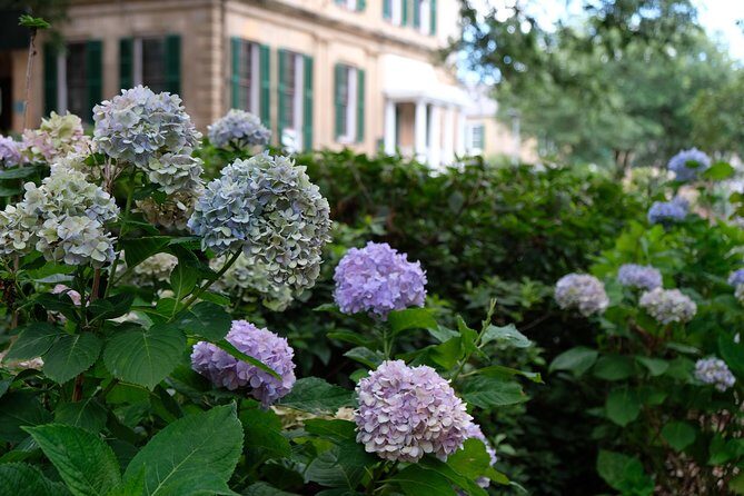 Botanical Tour (by Walk With Me Savannah Tours) - Columbia Square to Colonial Park Cemetery: Cast Iron, Star Jasmine, and Spanish Moss