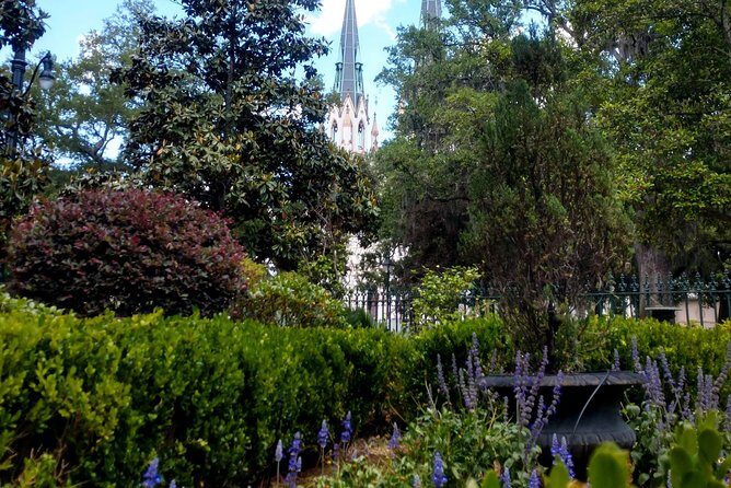 Botanical Tour (by Walk With Me Savannah Tours) - The Andrew Low House Garden: Juliette Gordon Low’s Camellias and Crepe Myrtles