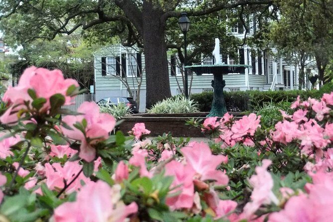 Botanical Tour (by Walk With Me Savannah Tours) - Forsyth Park Finish: Live Oaks, Resurrection Fern, and the Scent Garden
