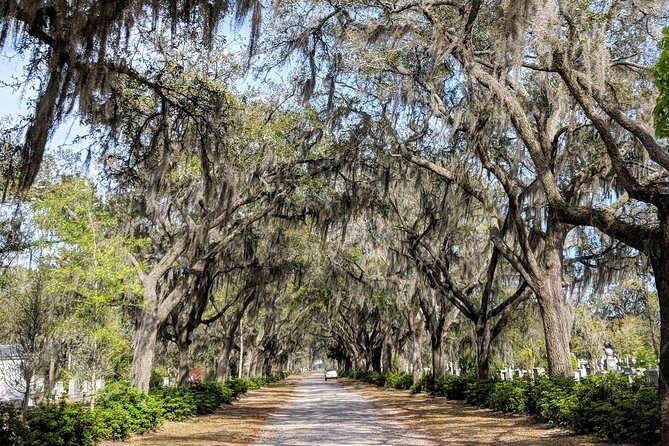 Custom Savannah Private Tour - Why a private, on-foot Savannah tour works so well