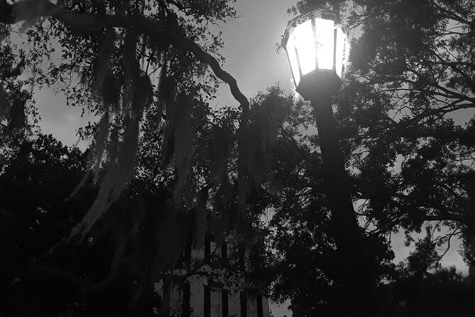 Fraidy Cat: The Family Fun Ghost Tour of Savannah - Oglethorpe Square: One More Haunted Stop Before You Wind Down