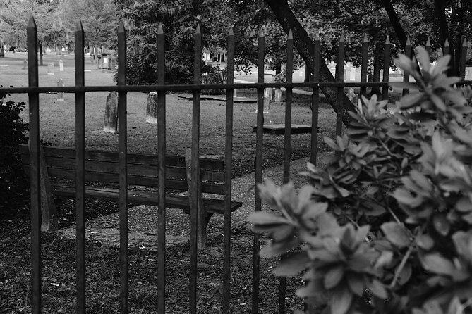 Genteel and Bard's Savannah Dark History and Ghost Encounter Walking Tour - Old Sorrel Weed House Museum & Tours: murder, suicide, war