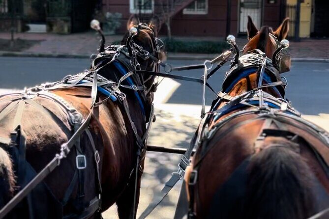Horse Drawn Daytime Group Narrated Historic Overview Tour - Forsyth Park and the Main Squares Loop