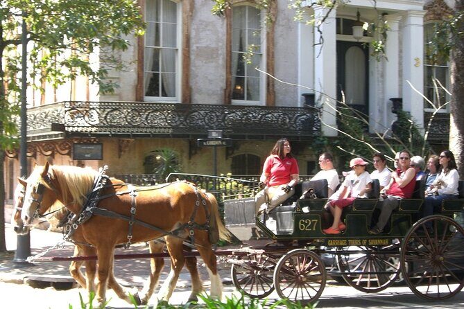 Horse Drawn Daytime Group Narrated Historic Overview Tour - Guides Like Riley and Ian Make or Break the Vibe