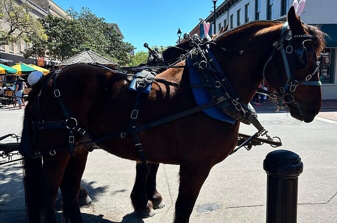 Horse Drawn Daytime Group Narrated Historic Overview Tour - Price and Value: Is a 50-Minute Ride Worth It?