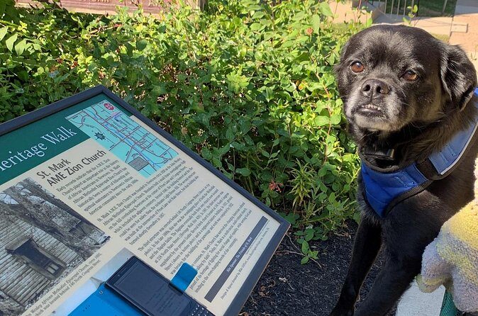 Mysteries on the Move: Scavenger Hunt in Savannah - Practical tips to make the scavenger hunt smoother