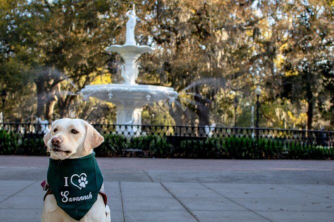 Private Photoshoot in Savannah, GA - Quick Practical Tips Before You Go