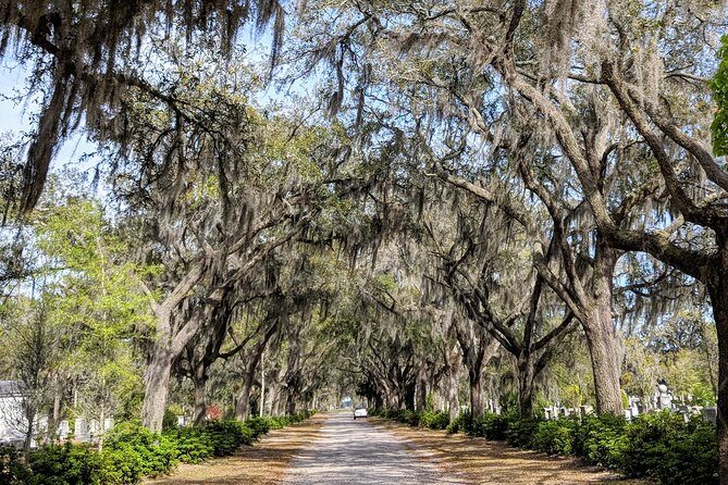Private Tour of Savannah's Historic/Victorian Districts & Bonaventure Cemetery - Bonaventure Cemetery: the film connection and the atmosphere you can feel