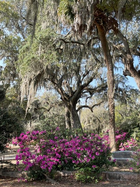 Savannah: Bonaventure Cemetery Golf Cart Guided Tour - Your Guide Is the Product (and You’ll Feel It Fast)