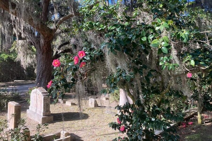 Savannah: Bonaventure Cemetery Golf Cart Guided Tour - Big Names Like Johnny Mercer and Conrad Aiken