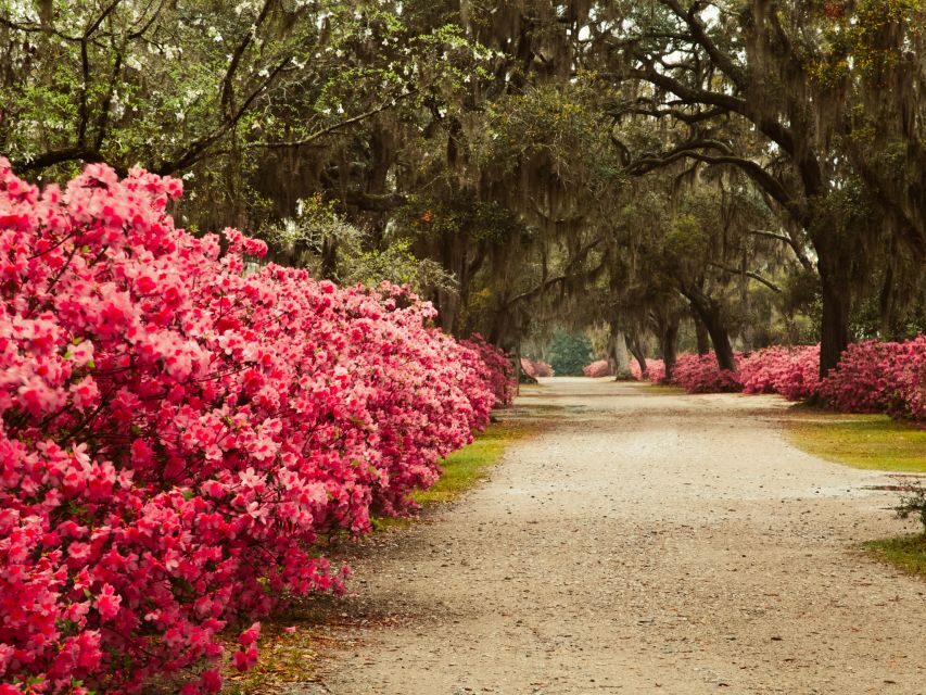 Savannah: Bonaventure Cemetery Tour - Price and value: is $36 worth two hours of a walking guide?