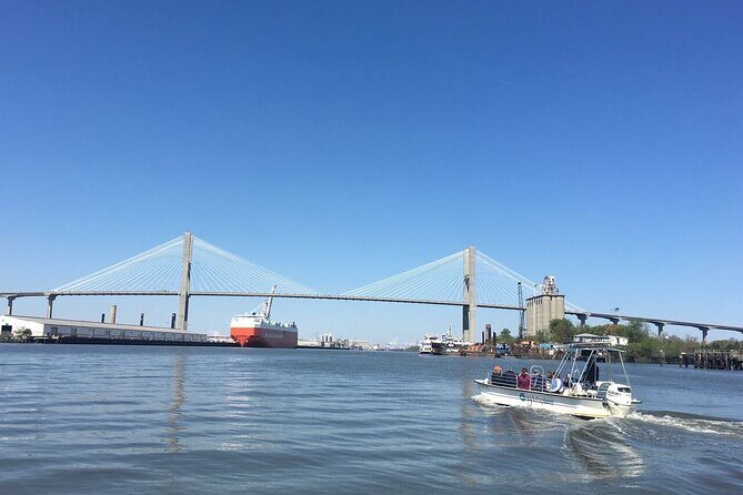 Savannah Coastal Dolphin Eco Tour - Key Highlights You’ll Care About