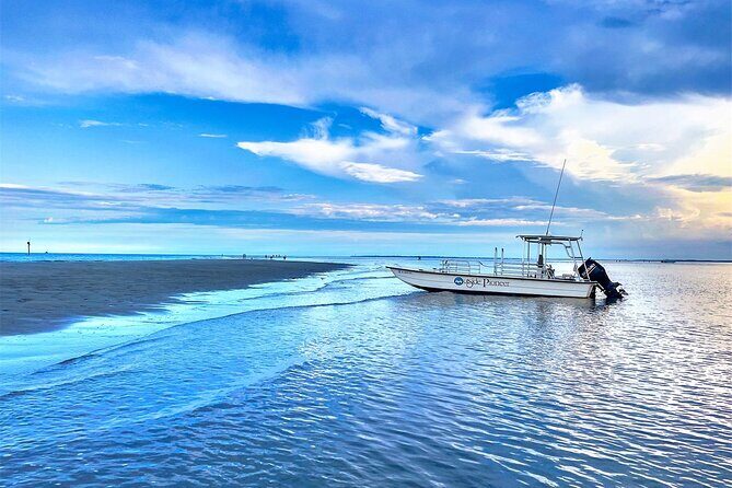Savannah Coastal Dolphin Eco Tour - Two Hours on the Atlantic Intracoastal Waterway