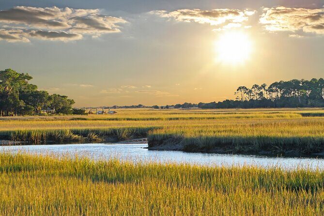 Savannah Coastal Dolphin Eco Tour - The Small-Group Advantage (and Why It Changes the Mood)