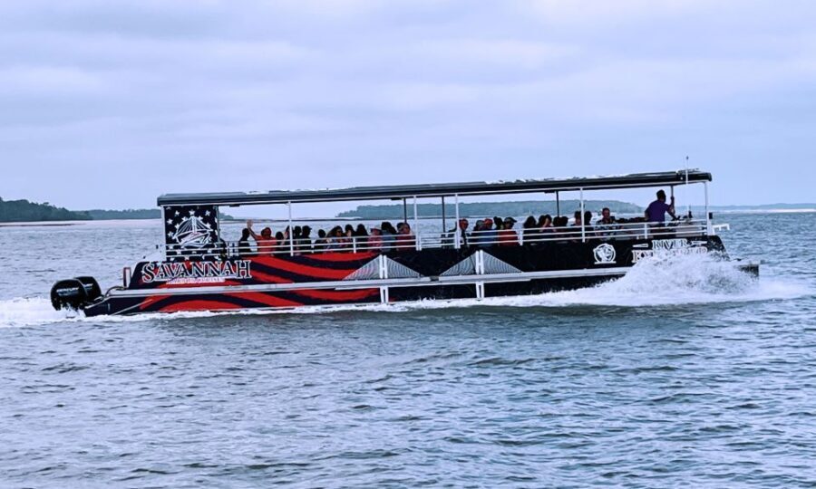 Savannah: Dolphin Spotting and Wildlife Eco Cruise - Dolphins in the real world: what sightings are like (and what affects them)