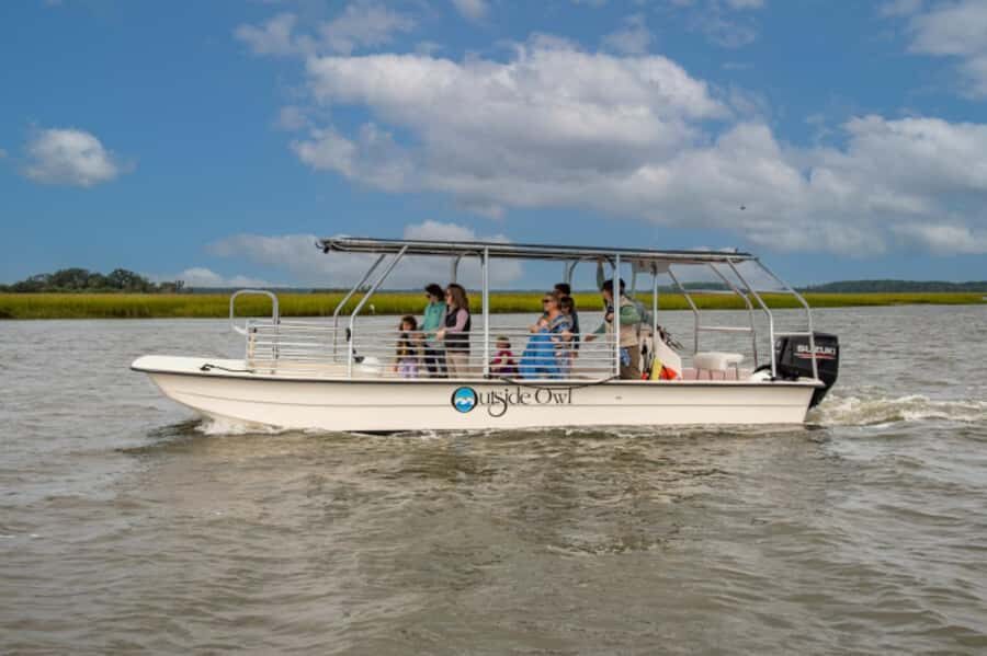Savannah: Dolphin Spotting Eco Tour with Experienced Captain - Fields Cut Views: Why the Route Feels Like More Than a Straight Search