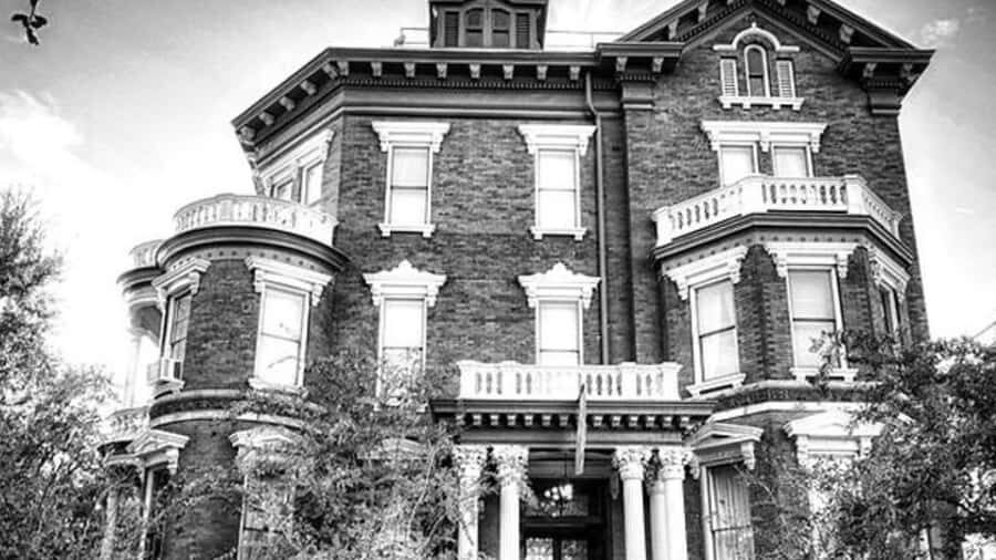 Savannah: Ghosts, Asylums, Voodoo, and Horror Walking Tour - Walking Over 46,000 Corpses: The Most Disturbing Fact the Tour Leans On