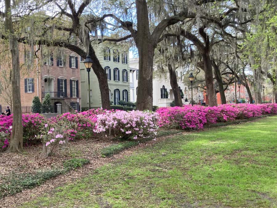 Savannah: Highlights Off the Beaten Path Guided Walking Tour - Why this Savannah walking tour works for first-timers