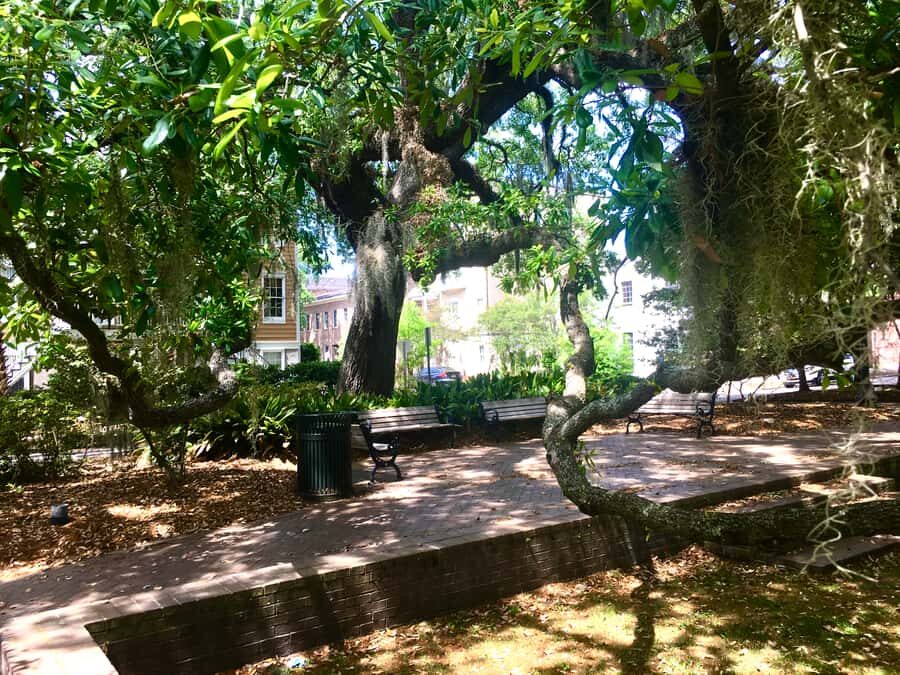 Savannah: Highlights Off the Beaten Path Guided Walking Tour - Starting at Forsyth Park: where the tour finds its rhythm
