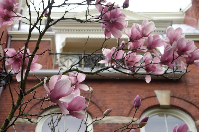 Savannah Historic District Walking Tour - Bonnie’s guide style: storytelling that helps you connect dots