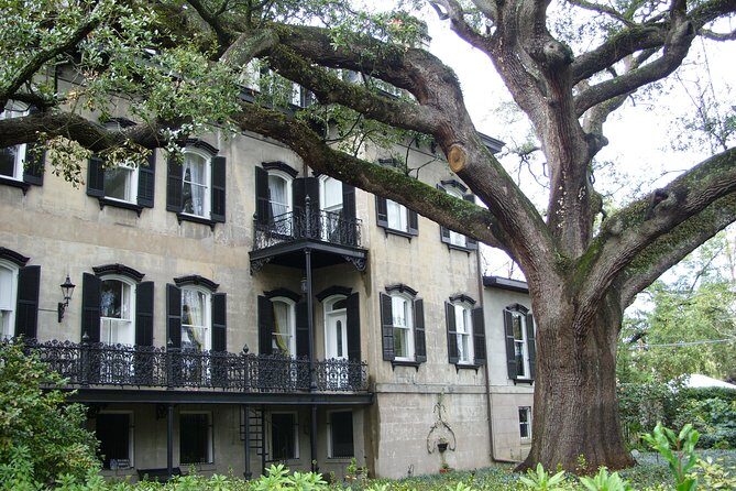 Savannah Historic District Walking Tour - Who should book this tour (and who might want to choose another option)