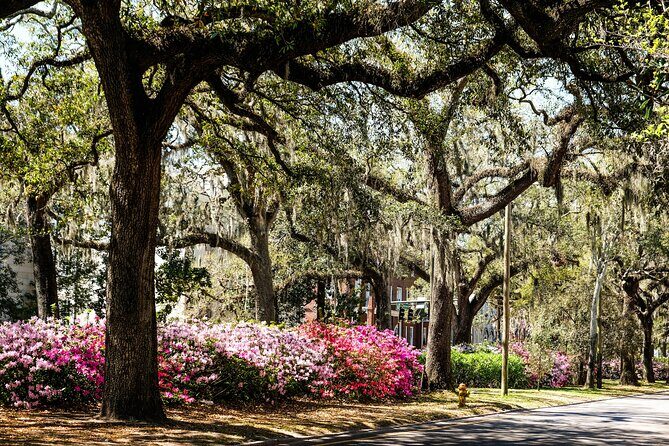 Savannah Historic Downtown Donut & Sweet Treats Adventure - The Guide Matters: Stories, Humor, and Food That Has Context