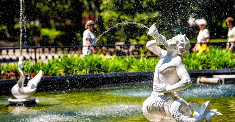 Savannah: History and Culture Walking Tour - Meeting at Warren Square: Finding the Start Without Stress