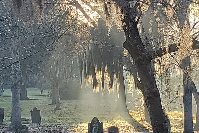 Savannah History and Haunts Candlelit Ghost Walking Tour - A lantern-led start at Chippewa Square