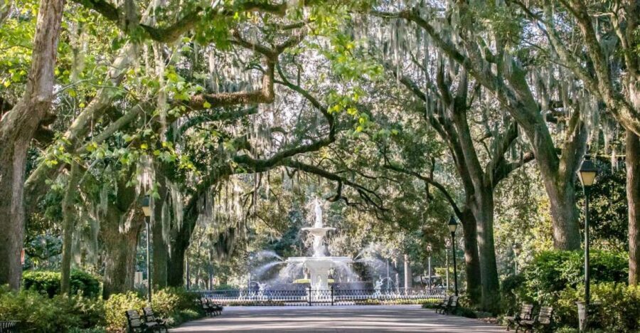 Savannah: History, Culture, & Scenic Views E-Bike Tour - Getting your ride set up: easy start, real confidence