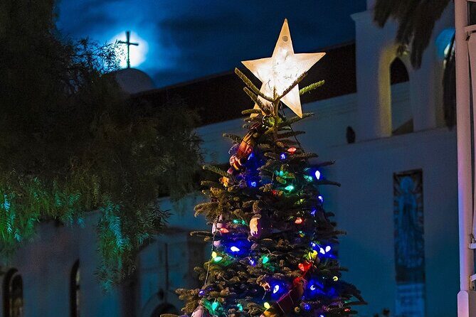 Savannah Holiday Sights and Festive Nights Trolley Tour - The drive-by stops: enjoy the narration, not just the scenery