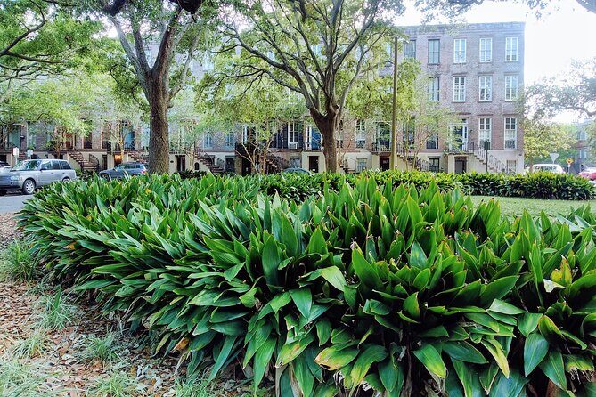 Savannah Irish History Walking Tour - Key Points to Know Before You Go