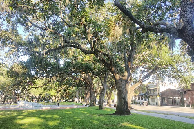 Savannah Irish History Walking Tour - Timing, Weather, and Comfort on a 1.5-Hour Walk