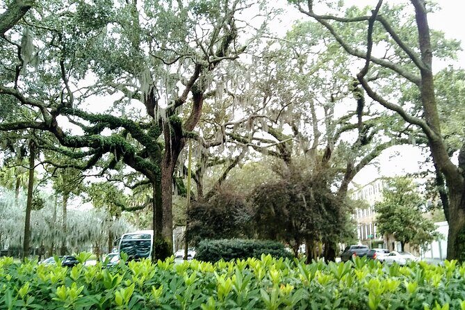 Savannah Irish History Walking Tour - Who This Tour Suits Best (and Who Might Prefer Something Else)