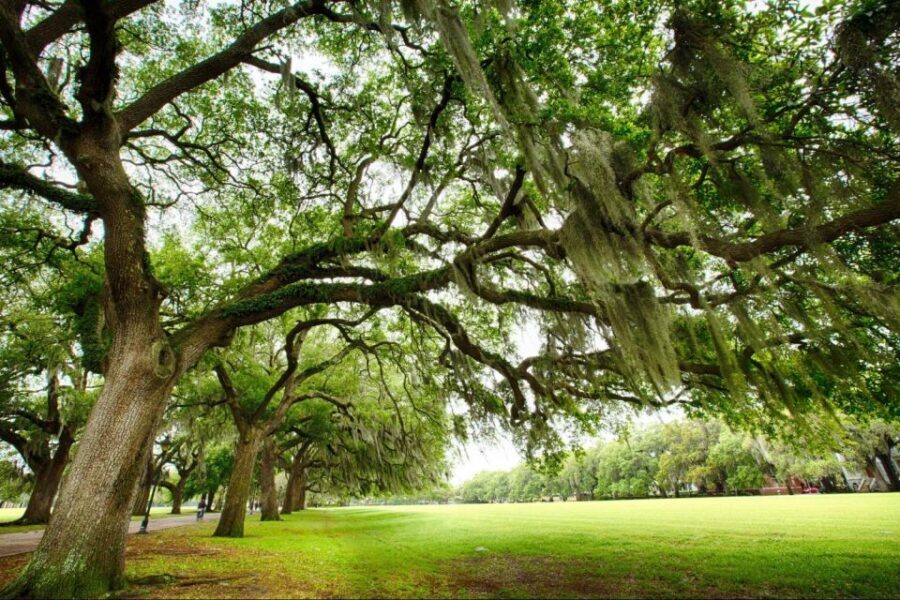 Savannah: Riverboat Cruise & City Tour Combo - Photo Tips That Actually Help (Riverfront, Skyline, and Fort Views)