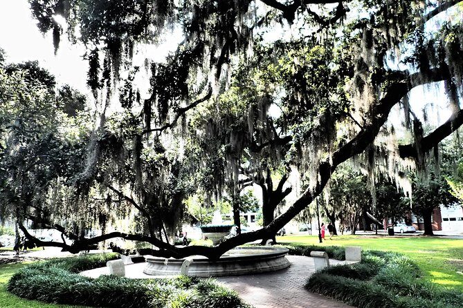 Savannah Scavenger Hunt Adventure - Stop 4: Colonial Park Cemetery and clues that feel calmer