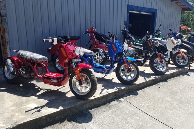 Savannah Scooter and Trike Rental with Helmet - Getting the Most Out of Helmeted Freedom