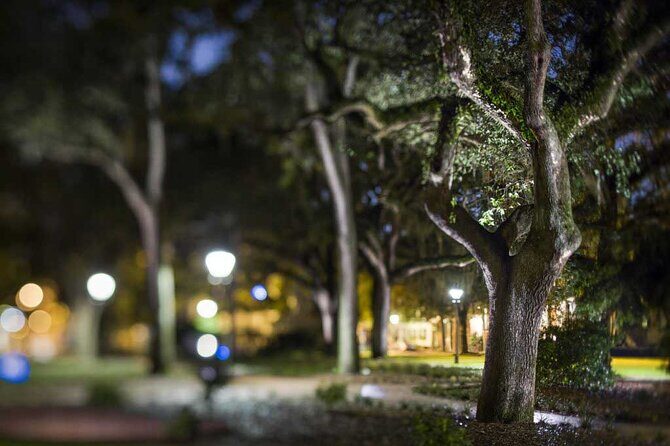 Savannah Shadows All Ages Ghost Tour - The Landmark Walk: History Plus Paranormal Clues