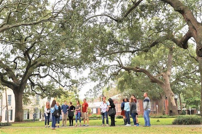 Savannah Southern Fried Expectations Walking Food Tour - Who this tour is best for (and who should skip)