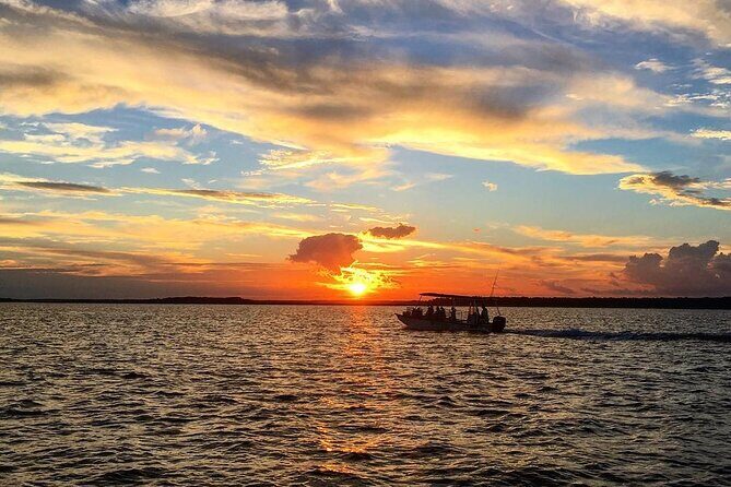 Savannah Sunset Dolphin Eco Tour - Dolphins in the Wild: Why the Captain’s Approach Matters