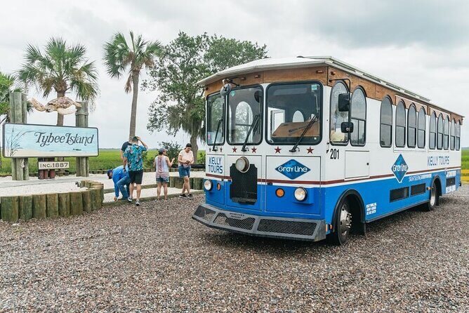 Savannah to Tybee Island with Dolphin Cruise - The dolphin cruise through Tybee’s waterways: where the magic usually happens