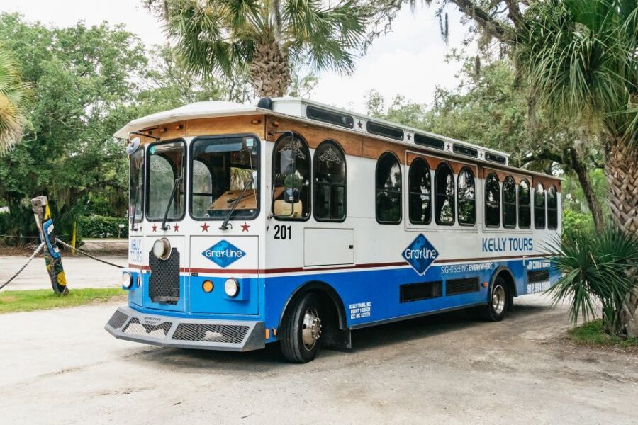 Savannah: Tybee Island Dolphin Tour - The dolphin cruise: what to watch for and how to handle the boat