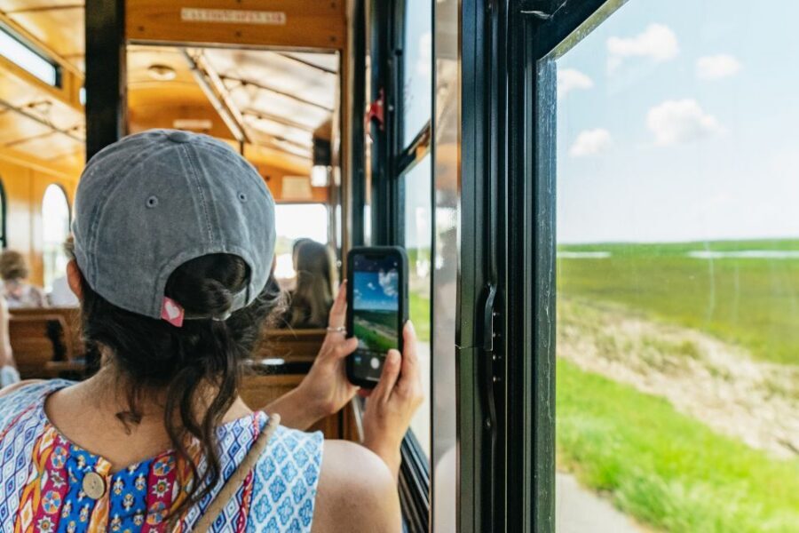Savannah: Tybee Island Dolphin Tour - Who should book this dolphin tour, and who should skip it